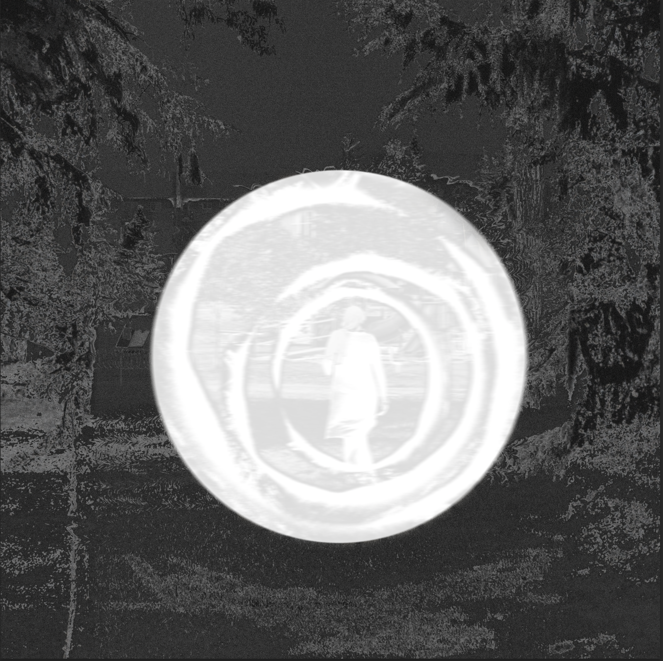 monochrome circular design with layered elements on a textured black forest background